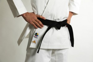 Karatega Adidas Champion Gold WKF